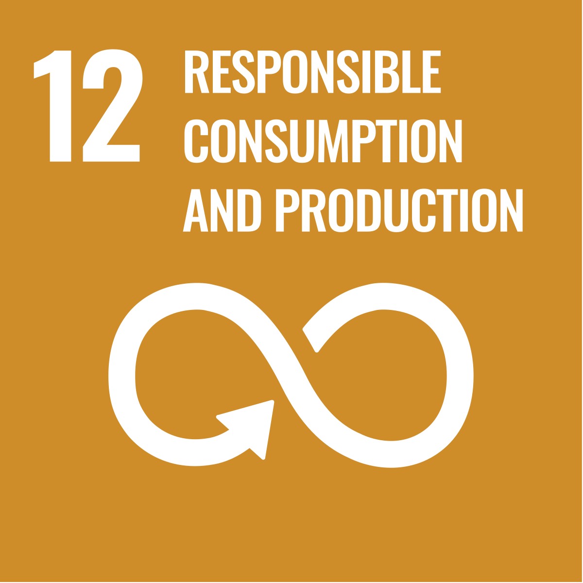 SDG12