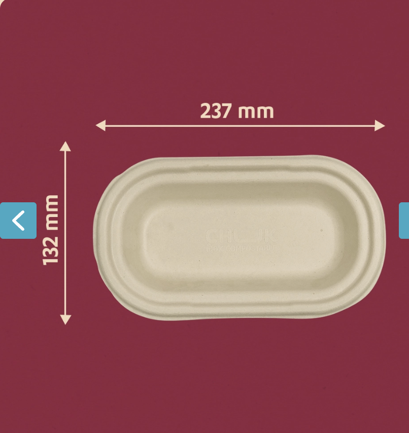 Dine-in Bagasse Container