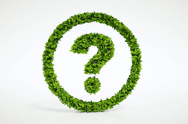 Why Green2B
